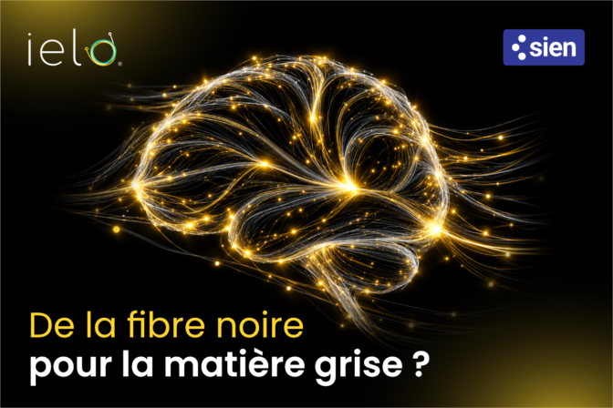 cerveau