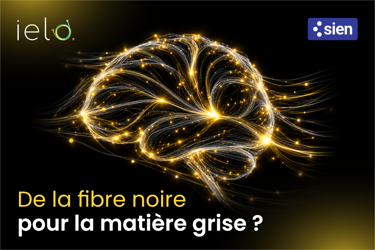 cerveau